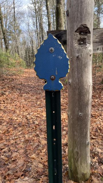 Photo of a trail marker panted blue in the shape of an arrowhead