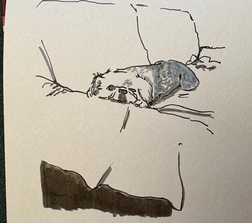 A drawing of a dog napping on a couch.