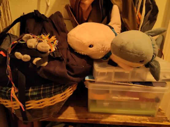 2 Haie neben Elfi und Carola in ihren Sitzplätzen am Rucksack an der Garderobe