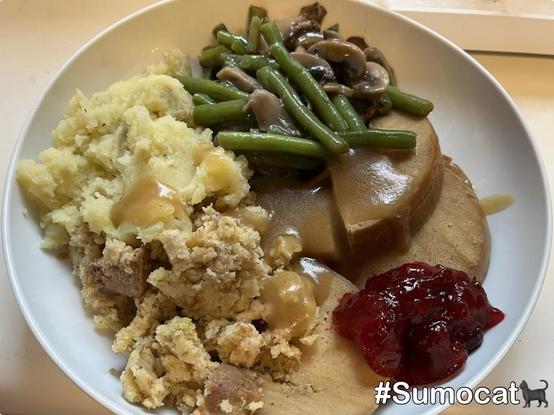 A plate of food featuring mashed potatoes topped with gravy, stuffing, green beans with mushrooms, sliced tofurkey with gravy, and a serving of cranberry sauce.