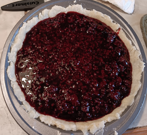 Cooked dewberry filling in pie pan with bottom crust.