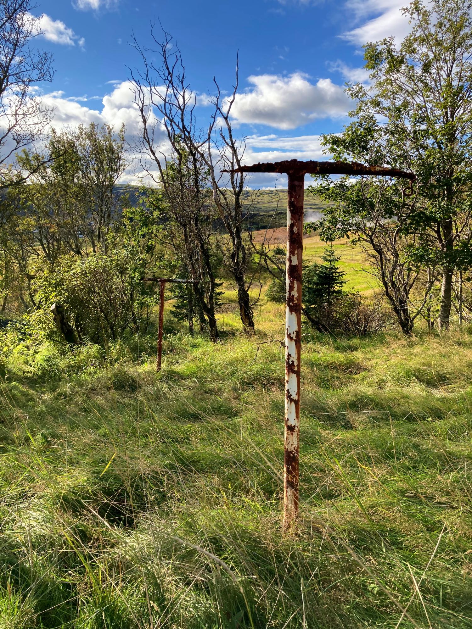 Rusty old washing line poles surrounded by beautiful nature.