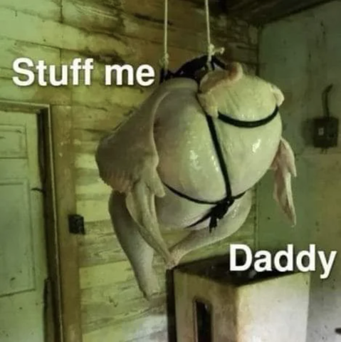 A raw turkey suspended in bondage-style rope harness, hanging seductively in a rustic wooden room. Text says “Stuff me Daddy.” Looks like someone brined the bird and unlocked a new category on Thanksgiving kinktok.