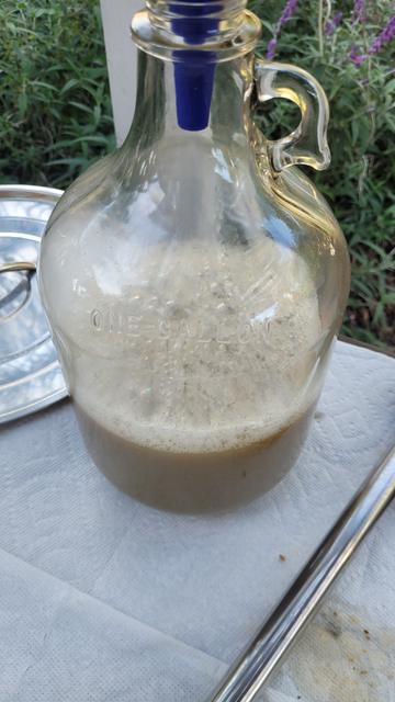 Half Gallon wort in glass bottle
