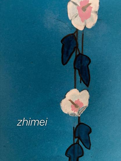 背景青色に木槿の花