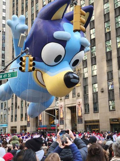 Bluey, as a giant balloon, in the Macy's Thanksgiving Day Parade.