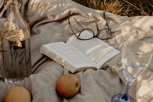 A book on a brown blanket in autumn grass with apples.