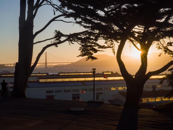 Silhouette of trees, in front of old warehouse buildings of Fort Mason, the ocean, and a silhouette of the Golden Gate Bridge. The sun peeks out from a tree.