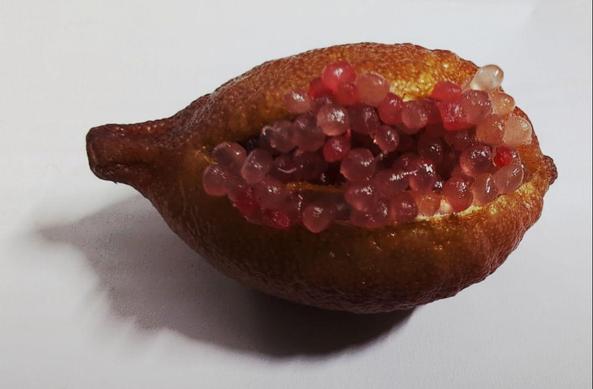 eine oval geformte Frucht, die auf der linken Seite einen schmalen, länglichen Stielansatz hat. Die Farbe der Fruchtschale ist goldhellbraun und hat die Struktur einer Zitrusfrucht. Die Frucht ist in der Mitte längs aufgeplatzt, aus ihrem Inneren quellen viele runde Kügelchen hervor, die rötlich gefärbt sind.