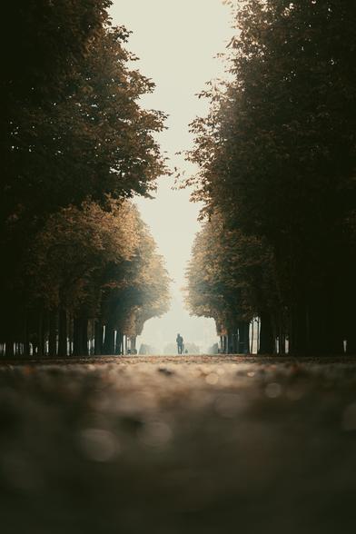 Photo from the ground up on an Autumn day at Augarten in Vienna. There are trees on the left and right against an overcast sky. People are walking in the distance right in the center of the image