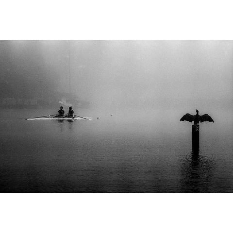 Black and white photo of a cormorant and rowboat, Amstel river, Amsterdam, Netherlands, September 2017