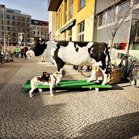 Vraie vache avec un chien faux (à moins que ce ne soit le contraire ?)