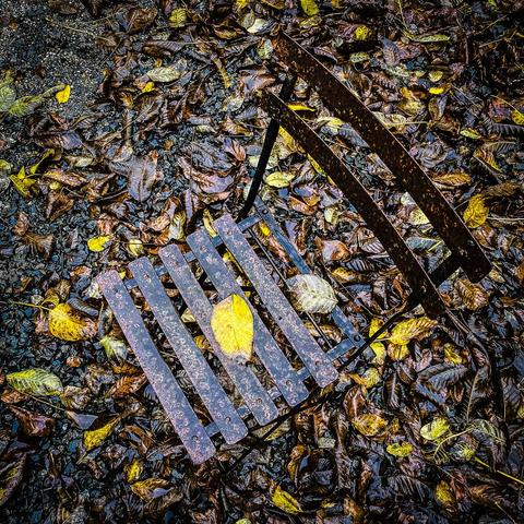 Photograph of a yellow leaf lying on a rusty metal chair against a background of wet, fallen autumn leaves covering the ground.