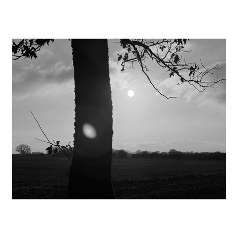 A tree trunk against the light of the setting sun. The flare creates two spots of light, like two suns. (Version françæ) Tronc d’arbre à contre-jour dans læ lumière dal soleil couchanx. Le flare crée deux taches lumineux, comme deux soleils.