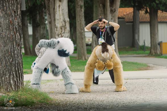 Misbehaving dogs makes the photographer feel embaressed.