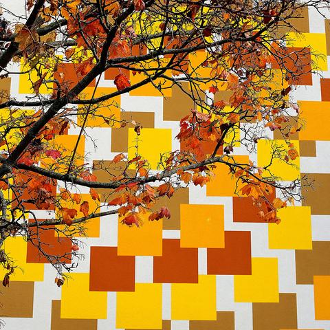 Die Fotografie zeigt einen herbstlichen Baum, dessen Blätter in leuchtenden Orange- und Rottönen erstrahlen. Die kahlen Äste des Baumes bilden einen starken Kontrast zum bunten Herbstlaub. Dahinter ist eine Hauswand zu sehen, deren abstraktes Muster aus Quadraten farblich analog zu den davor befindlichen Blättern ist.