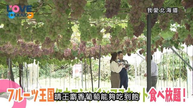 【搶先看】我愛北海道 #539  11/29(六)晚間6點首播