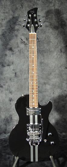 Meloduende guitar, Hunter model.