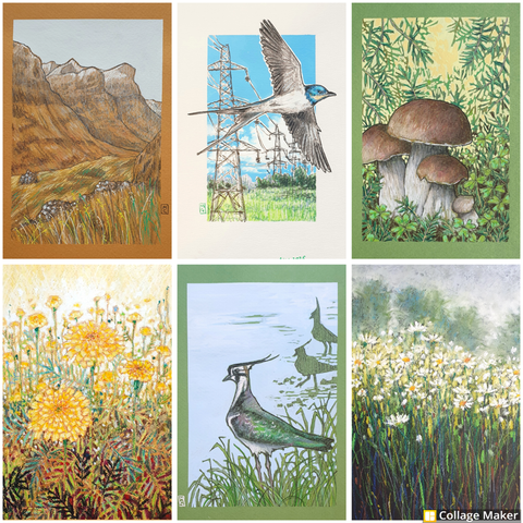 A photo collage of some of my original artworks, all available on Folksy:
A Glencoe mountain scene, a swallow in flight, mushrooms with clover, golden marigolds, a northern lapwing anda landscape with oxeye daisies.