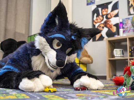 A photography showing a fursuiter laying on the ground on a car carpet, having a miniature toy car in each of his paws and playing with it while he has opened his snout in joy. The background shows the room this shot was taken in with some posters on a wall, below it a shelf with a lava lamp and more stuff, which was usual in the 90s. In the corner there are some huge squishy Rubics-Cubes stacked onto each other.