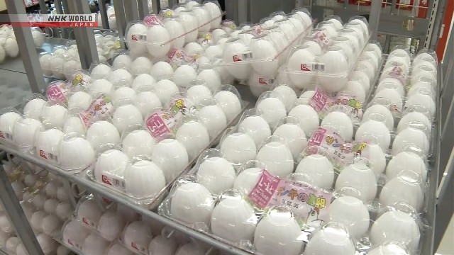 Tokyo consumer price index unchanged in November