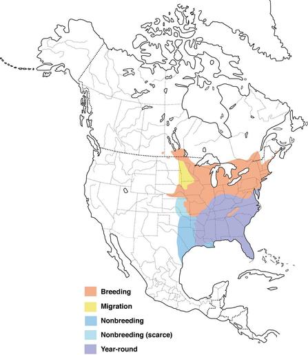 Eastern Towhee range map from Cornell All About Birds — https://www.allaboutbirds.org/guide/Eastern_Towhee/maps-range
