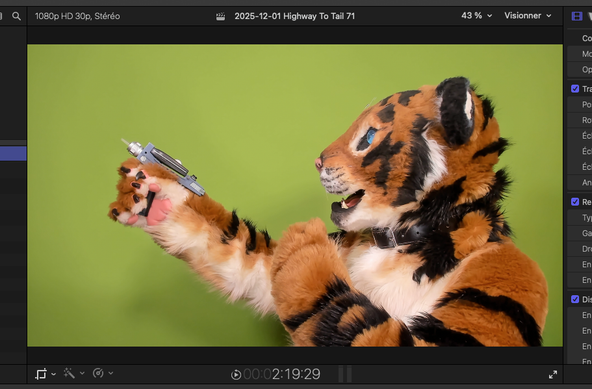 Tiger fursuiter in front of a greenscreen, holding a gun from Star Trek