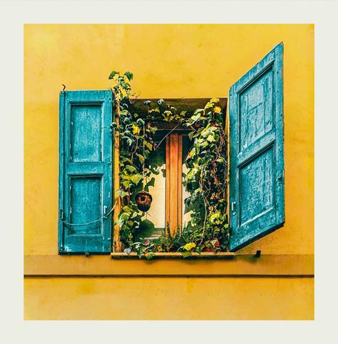 A vibrant, yellow stucco wall with a small window. The window has two turquoisey, weathered wooden shutters, one open and one half closed. Green vines with leaves and small red flowers climb around the window inside windowsill. There is a little brown birdhouse on the left attached to the plants. The shutters show signs of age and texture.