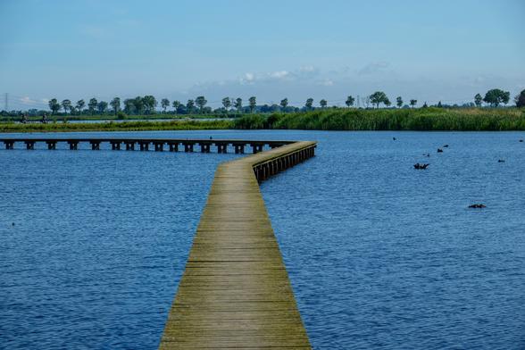 Een houten vlonderpad dat in een scherpe hoek over het blauwe water van een meer loopt. Het pad lijkt ongeveer in het midden van het water te draaien en strekt zich uit tot een groene oever met riet en gras. Op de achtergrond staan rijen bomen en is de horizon zichtbaar onder een heldere blauwe lucht. Het water is rustig; her en der drijven enkele takken of vogels. Er zijn geen mensen op het vlonderpad, maar verderop langs de oever zijn enkele fietsers te zien. Het geheel straalt rust en natuur uit.