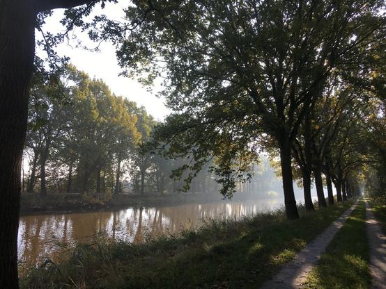 Oever van een kanaal of rivier, omzoomd met bomen. Aan de rechterkant loopt een onverhard pad, schaduwen van de bomen vallen over het pad en het gras. De zon schijnt schuin door de bomen, wat zorgt voor zachte lichtstralen en mistige sfeer in de verte. Aan de linkerkant is het water zichtbaar, licht bruin van kleur, waarin de bomen weerspiegelen. Het geheel oogt rustig, natuurlijk en vredig.