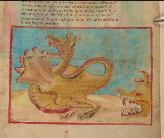 Détail d'une page peinte d'un manuscrit : en haut, un texte en français ; en bas, dans un cadre rouge, deux monstres devant un fond bleu. Les monstres sont marrons avec quelques touches de rouge. On voit surtout un, tourné vers la gauche, la gueule ouverte, sorte de gros reptile / dragon. A droite, en bas, la tête d'un autre monstre