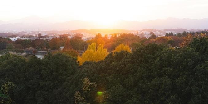 Sunset view over a landscape with dense green trees in the foreground, featuring vibrant yellow trees and a cityscape in the middle ground. The background is dominated by gently rolling mountains, softly lit by the setting sun, creating a warm and serene atmosphere.