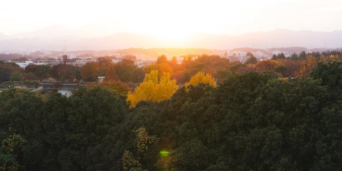 Sunset view over a landscape with dense green trees in the foreground, featuring vibrant yellow trees and a cityscape in the middle ground. The background is dominated by gently rolling mountains, softly lit by the setting sun, creating a warm and serene atmosphere.