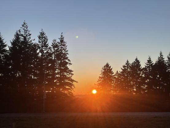 The sun is seem just coming over the horizon in between two groups of fur trees with blue sky above and one star planet