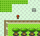 Screenshot of Pokémon Gold