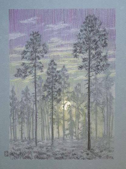 A drawing in a very soft style of tall trees in an evening winter landscape, the sun is quite low in the sky and there are frosty tones on the ground. The palette for this piece is subtle grey, violet and yellow tones.
An original art work, please note that the frame is not included.
Colour pencil on blue pastel paper.
6 by 8 inches (15.24 by 20.32 cm).