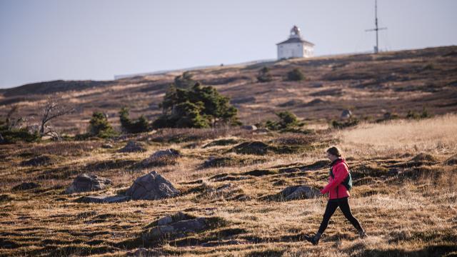 Hike the east coast trail