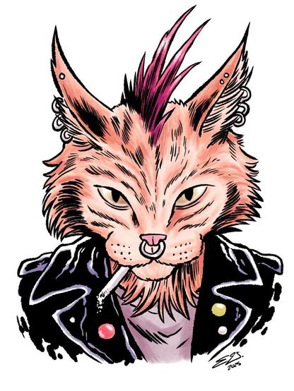 A punkified orange tabby cat