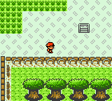 Screenshot of Pokémon Gold