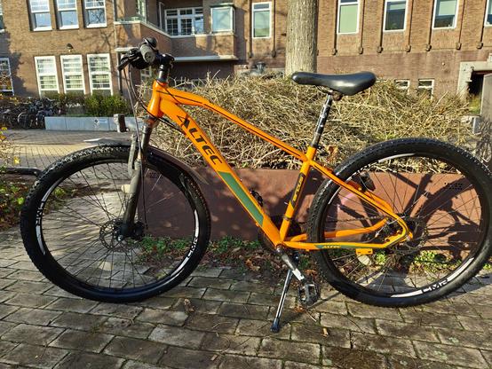 An orange mountain bike, seen from the side shining in the sun in the foreground. Behind it there's a yellowing patch of city grass, and in the background a red brick building. The bike looks really good btw