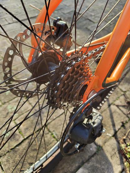Close up of the Shimano rear derraileur and gear cassette of a bike. They are decently clean and shine, and so does the disk brake behind them. The frame orange rails continue to the right