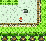 Screenshot of Pokémon Gold