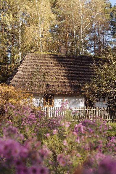 An old white house, flowers entering the frame.