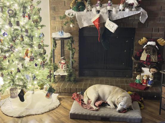 A cozy living room scene featuring a decorated Christmas tree with lights and ornaments, a fireplace adorned with stockings and festive decorations, and a sleeping dog on a pet bed next to the tree. Classic holiday decor includes a snowman figure and stuffed animals.