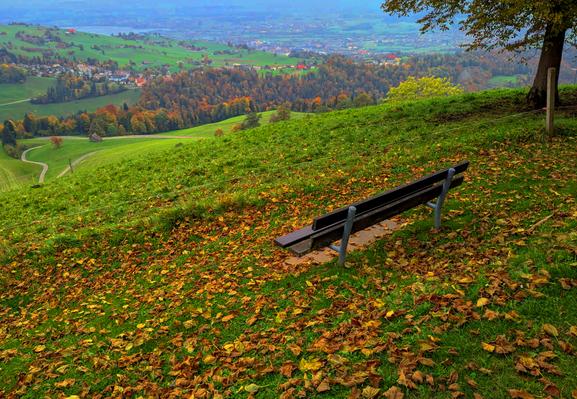 A bench on a grassy hill covered with autumn leaves overlooks a valley where Autumns paint the fields, scattered houses, and colorful trees in warm, vibrant hues.

Eine Bank auf einem mit Herbstblaettern bedeckten Grashuegel ueberblickt ein Tal, in dem der Herbst die Felder, verstreuten Haeuser und farbenfrohen Baeume in warmen, leuchtenden Farbtoenen malt.