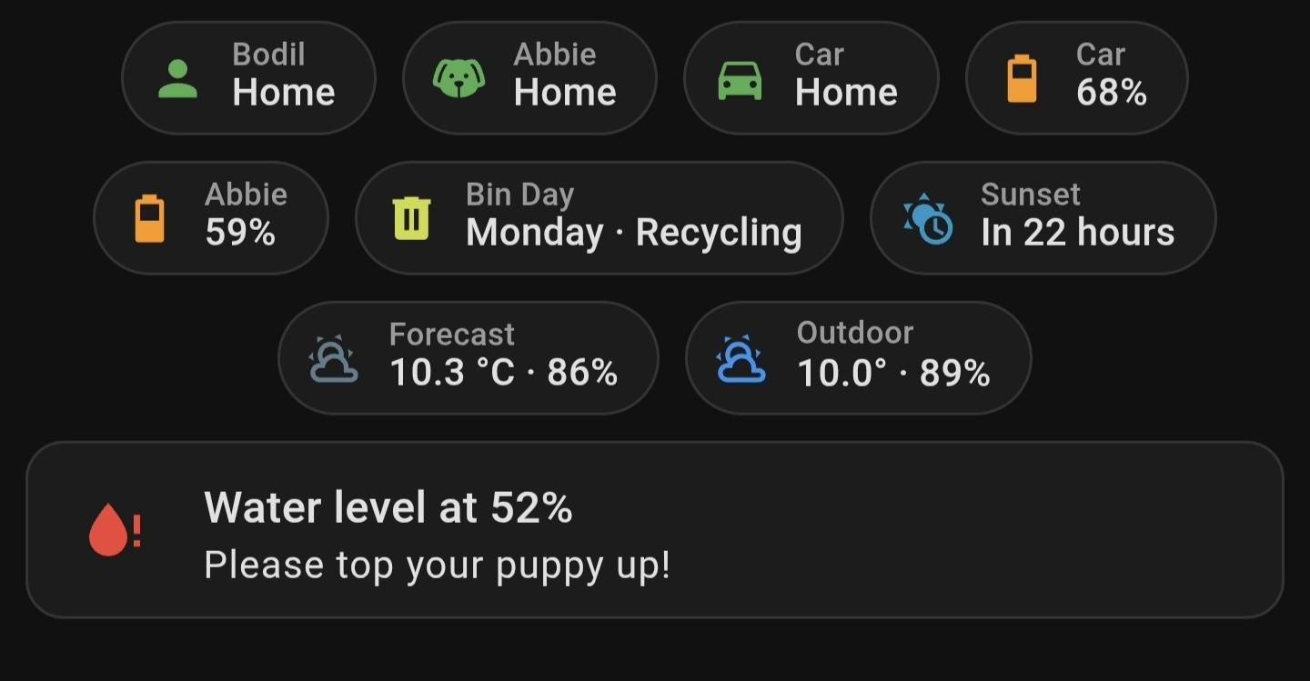 Screenshot of a part of a Home Assistant dashboard, most notably an alert saying "water level at 52%, please top your puppy up!" Also of note is a UK council bin collection day sensor, because of course it is.