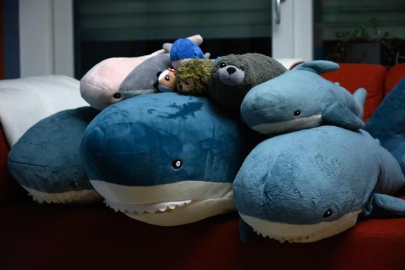 Die fünf Haje sitzen mit Miki, Theo und einigen anderen Plüschis in einer Pyramide.