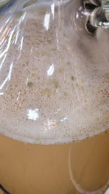 Frothy bubbling in another gallon container