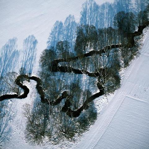 Photographie de Bernhard Edmaier : vue aérienne d'un paysage enneigé avec les méandres d'une rivière bordée d'arbres, serpent noir sur blanc avec les ombres bleutées des arbres