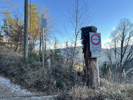 Forststrasse gilt auch für Radfahrer